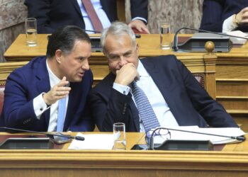 «Ως εδώ με τη λάσπη»: Ξέσπασμα Βορίδη - Γεωργιάδη για τον θάνατο του Βασίλη Καλογήρου