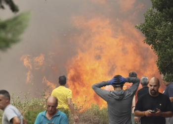 Πυρκαγιές: Κρυβόμαστε πίσω από το δέντρο και χάνουμε το δάσος