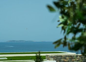 Ο Επιθεωρητής του Σαββάτου (29/6/2024 )