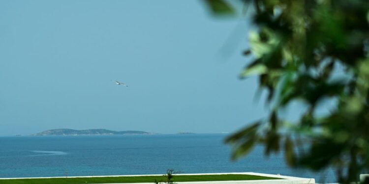 Ο Επιθεωρητής του Σαββάτου (29/6/2024 )