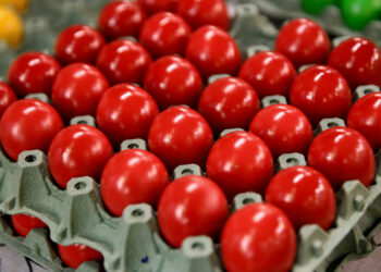 Γιατί τα έχουμε τόσο ανάγκη;