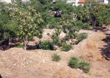 Ο δημαρχούκος με το «κασέρι»