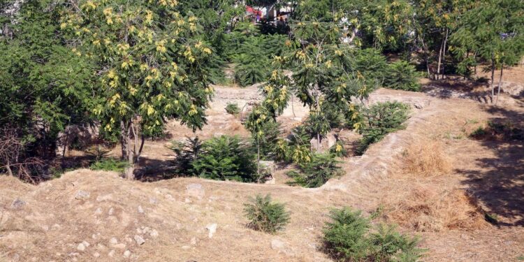 Ο δημαρχούκος με το «κασέρι»