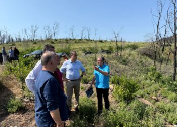Υλοποιούμε με ταχύτητα, συνέπεια και αποτελεσματικότητα, ένα ολοκληρωμένο πρόγραμμα αντιδιαβρωτικών και αντιπλημμυρικών έργων