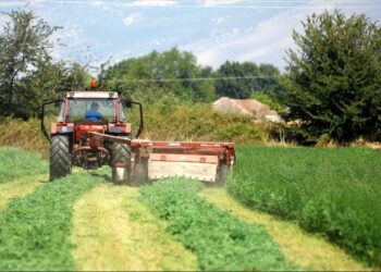 Μέχρι την Τρίτη οι αιτήσεις για ένταξη στο Μέτρο 23 – Το ύψος ενίσχυσης και οι δικαιούχοι