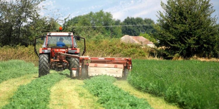 Μέχρι την Τρίτη οι αιτήσεις για ένταξη στο Μέτρο 23 – Το ύψος ενίσχυσης και οι δικαιούχοι