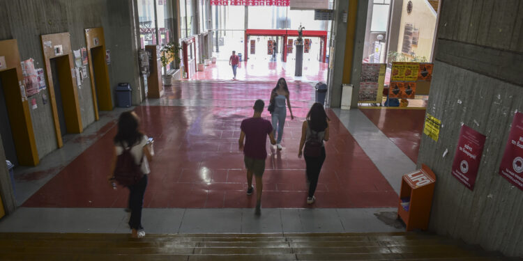 Τα μυστικά του μηχανογραφικού