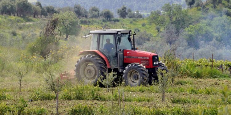 Φραπέδες και Χασάπηδες