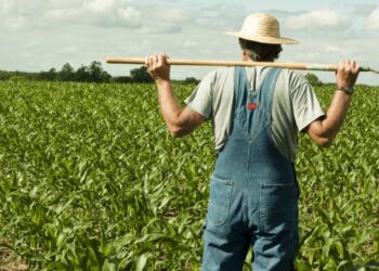 Παράταση εώς τις 30 Σεπτεμβρίου αποφασίστηκε να δοθεί στους αγρότες για τη συμπλήρωση του ΑΤΑΚ