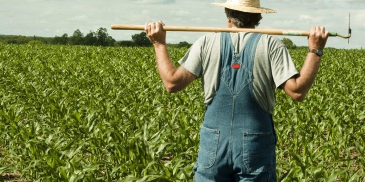 Παράταση εώς τις 30 Σεπτεμβρίου αποφασίστηκε να δοθεί στους αγρότες για τη συμπλήρωση του ΑΤΑΚ