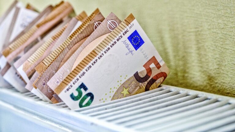 thermansi-e1734436824949