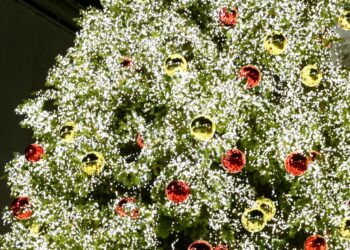 Πόσο ρεύμα πληρώνετε για τα Χριστουγεννιάτικα λαμπάκια σας;