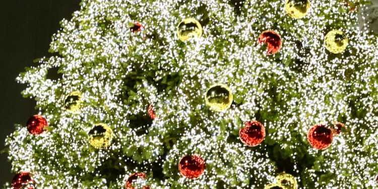 Πόσο ρεύμα πληρώνετε για τα Χριστουγεννιάτικα λαμπάκια σας;