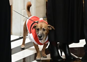 Ο μόνος σίγουρος 