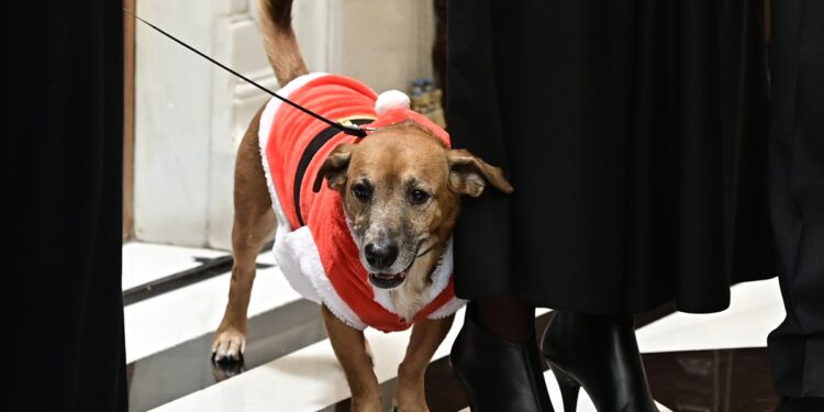 Ο μόνος σίγουρος 