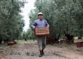 Συμφωνία ΕΕ – Mercosur: Νέες εξαγωγικές προοπτικές για τα ελληνικά αγροδιατροφικά προϊόντα