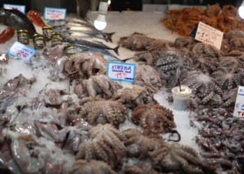 Πού κινούνται οι τιμές των σαρακοστιανών