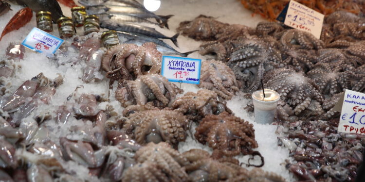 Πού κινούνται οι τιμές των σαρακοστιανών