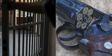 Ξέφραγο αμπέλι οι φυλακές Κορυδαλλού